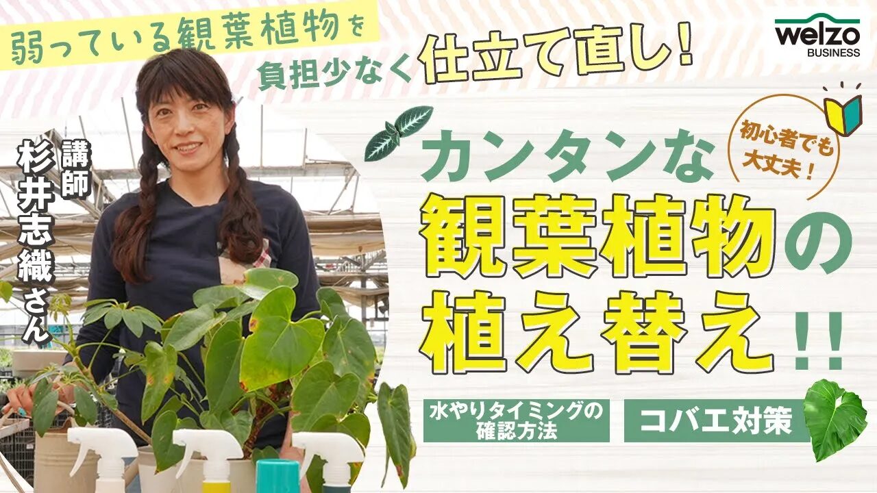 寄せ植えの基本的なテクニック